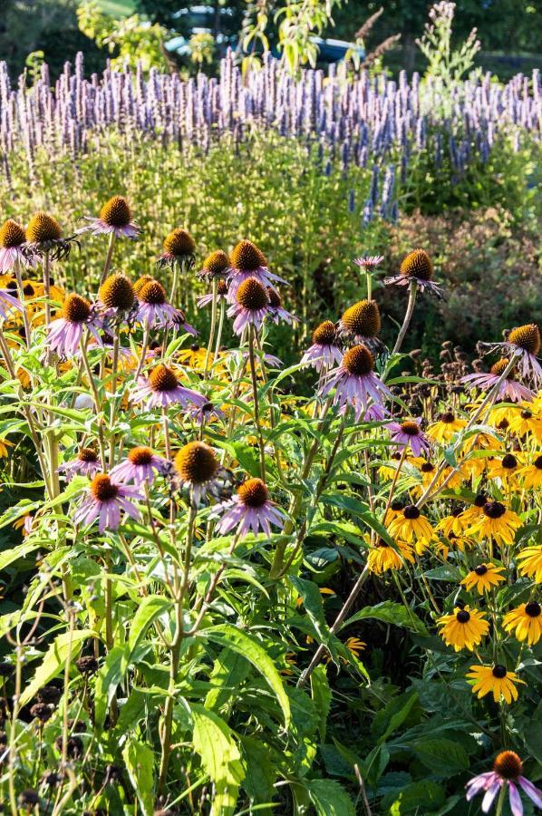 Puurteuven B&B Tussen Kunst En Natuur Voeren Exteriér fotografie